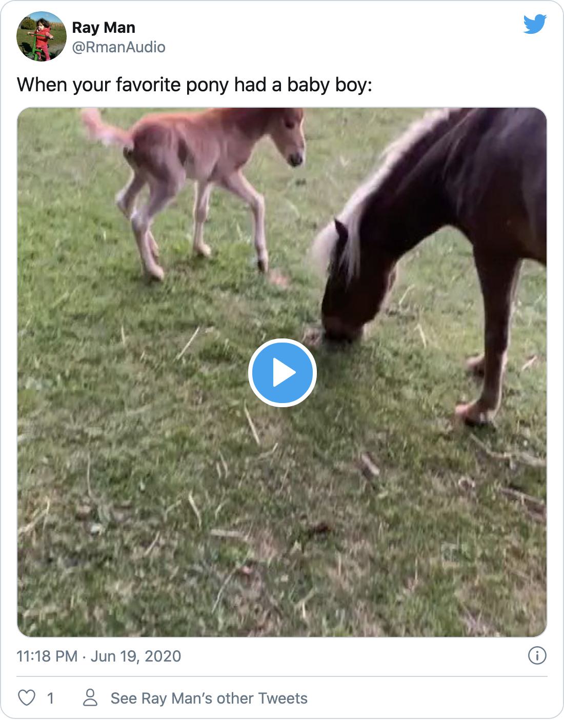 recovered tweet 1273983603366604801