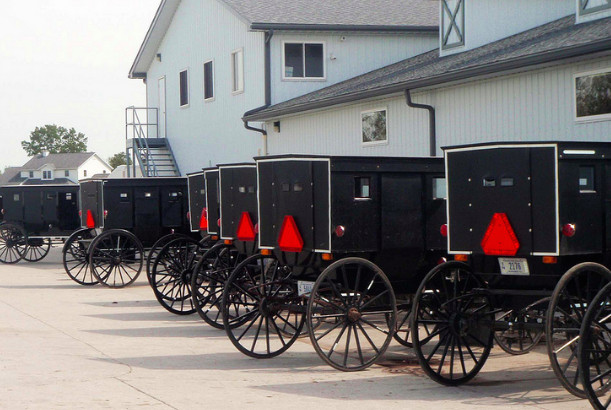 アーミッシュの馬車(Amish Buggies)